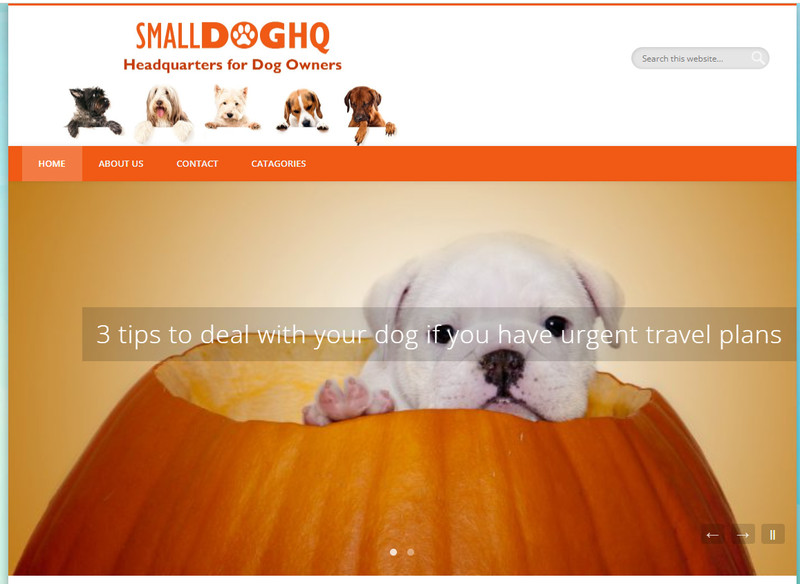 Dog Pet website blog for sale, established + Domain name + Free Hosting gallery