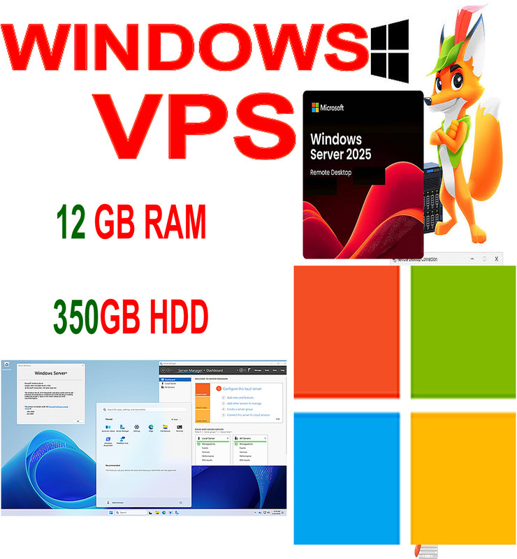 6 Months 12GB RAM WINDOWS VPS 350GB HDD With RDP enabled Windows server 2025