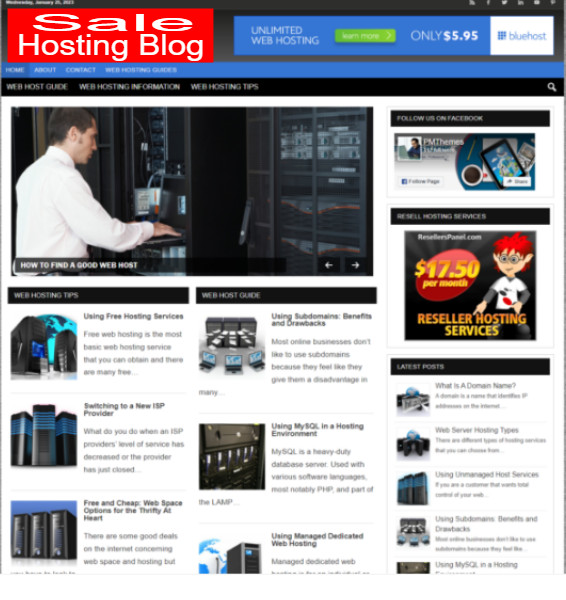 Phox Hosting WP Theme EZ MadeSites Turnkey Website U Pick Reseller Hosting Plan gallery