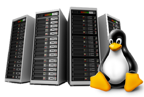 Verified Web Hosting – Unlimited SSD | Free SSL | Unlimited Websites – $14.99/Yr gallery