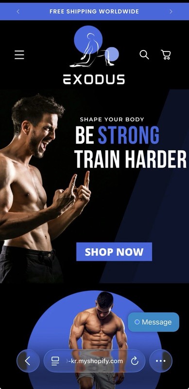 Pre Made, Drop shipping Shopify Store (fitness Theme) (40 Products)