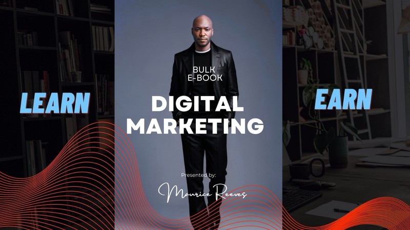 Digital Marketing Campaign 14 full PLR Categories