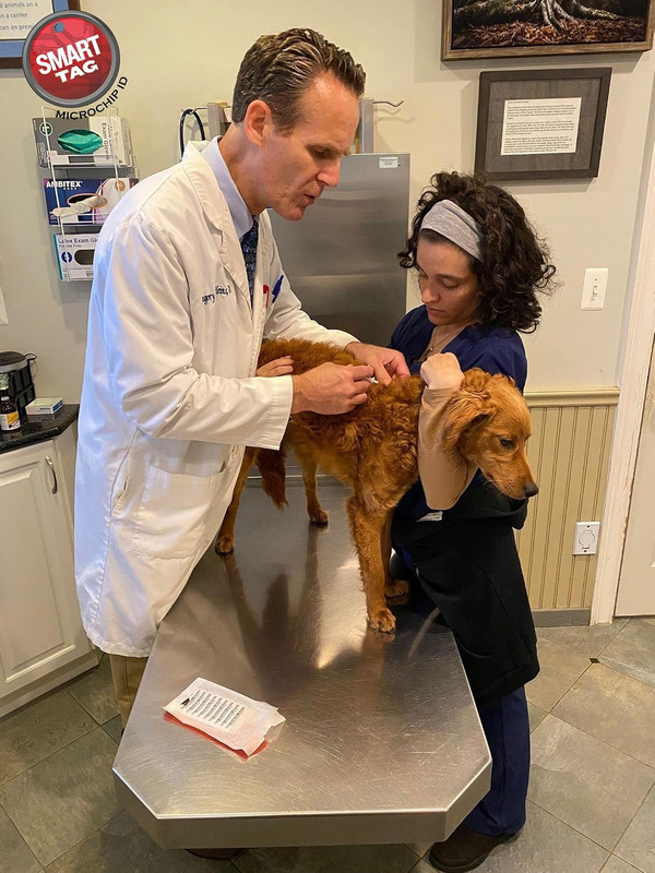 ISO Data Microchip with Lifetime Pet Recovery Service/24-7 US Call Center/Free R gallery