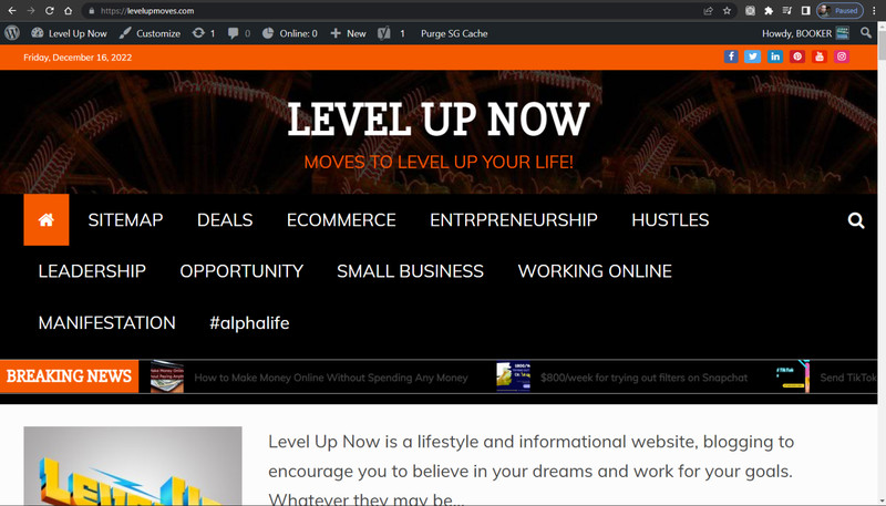 LEVEL UP Website for sale-*89 Blogs*- A CASH COW! Inc. 2 yrs of hosting & Domain