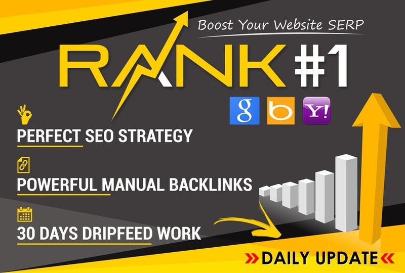 Rank your website on Google FAST with our 30-day drip feed SEO Service