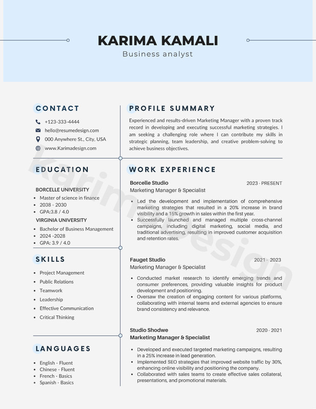 Editable Canva Resume Template | Modern Professional CV | Instant Download gallery