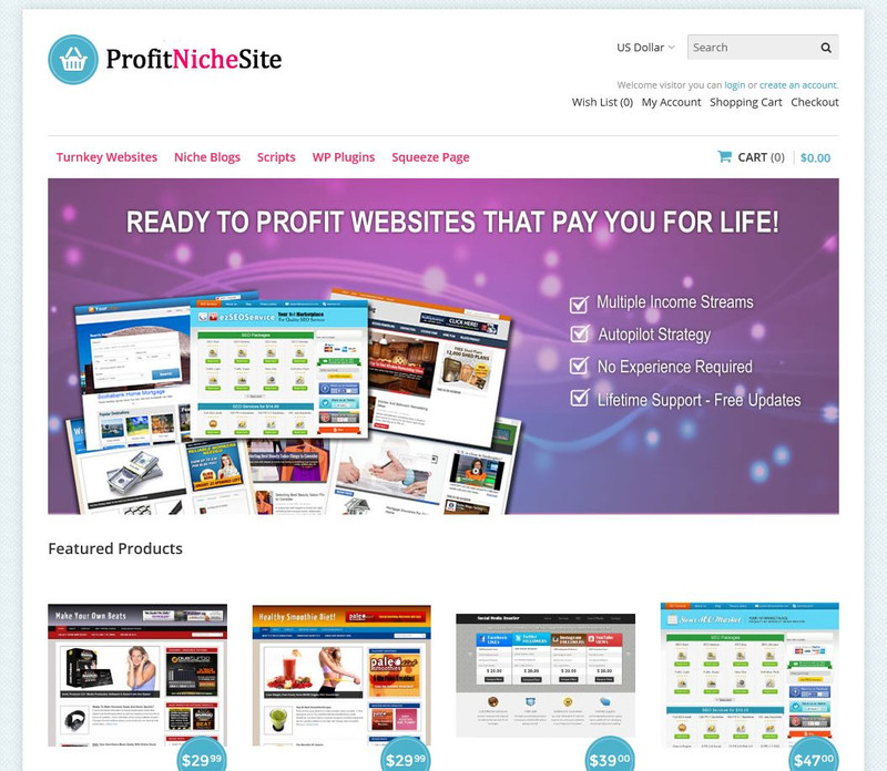 🥇 Turnkey Niche Website Selling Business