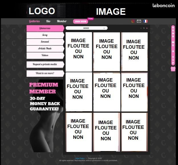 Custom Platform for Photo & Video Subscriptions - Like MYM & ONLYFANS gallery