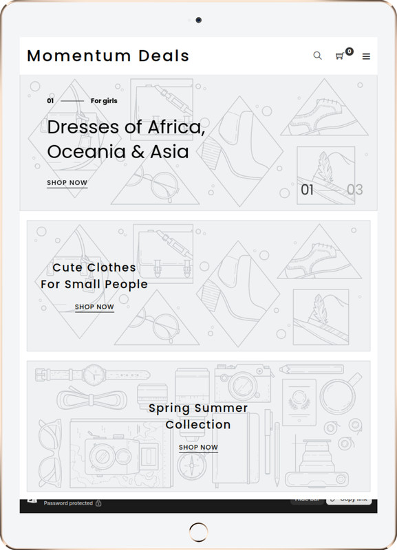 Amely Minimalist Clothing Shopify Theme