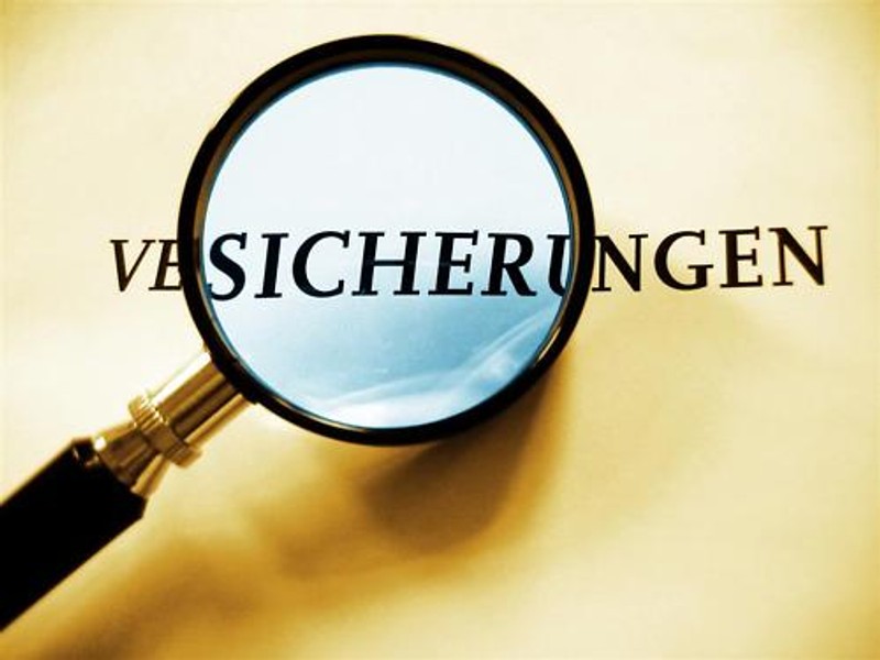 Insurance Seller.de! Domain! Representative! Realtor!