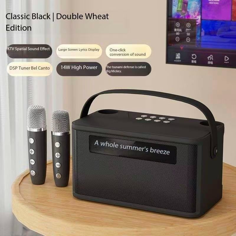Display lyrics karaoke microphone speaker integrated home Bluetooth speaker gallery