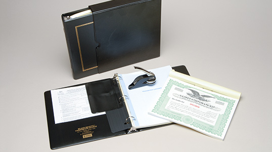 SEASONED AGED DELAWARE CORPORATION For Sale- 3+ YRS Filed 3-2022+EIN+Domain+Kit gallery