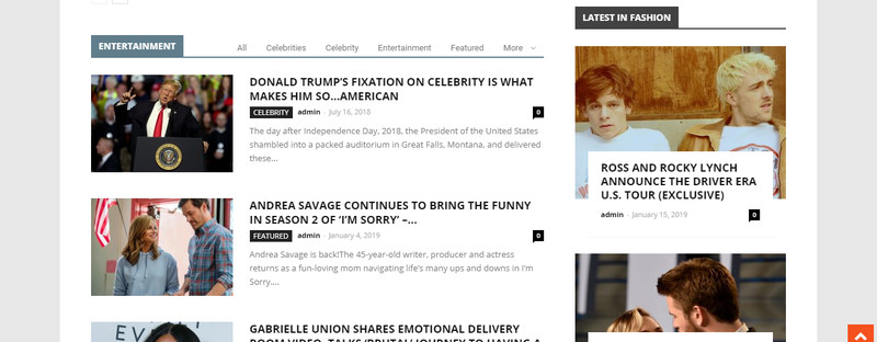 Established Profitable Celebrity News Online BUSINESS Turnkey Website gallery