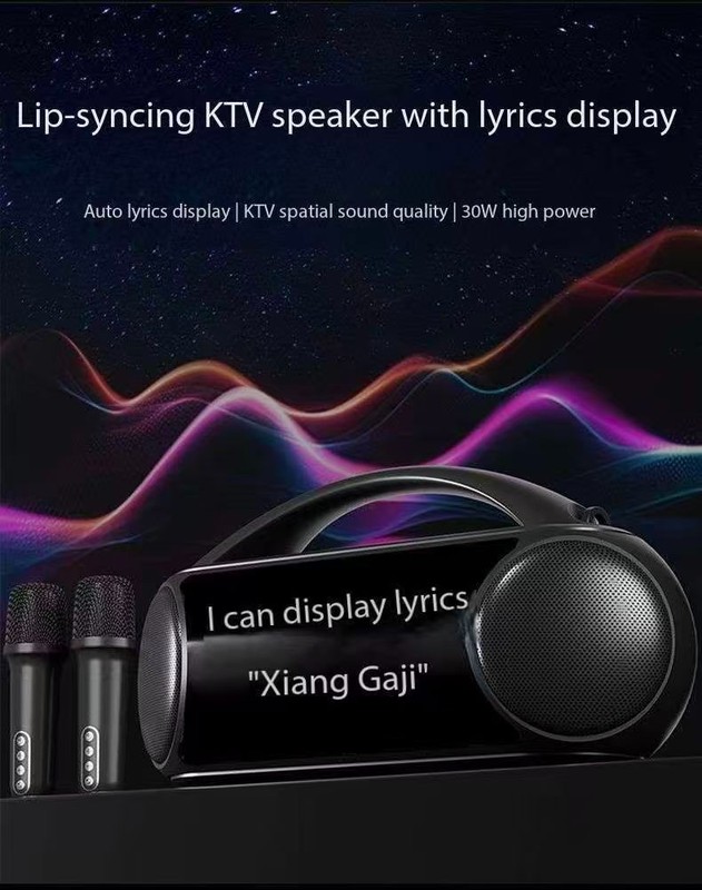 Wireless outdoor karaoke microphone and speaker with lyrics display all-in-one gallery