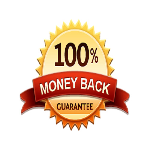 2,000,000 Real Visitors and SEO Submit Website Web Advertising gallery