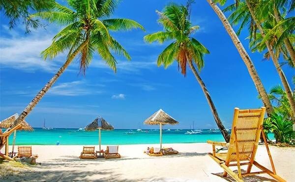 Timeshare Exit Leads