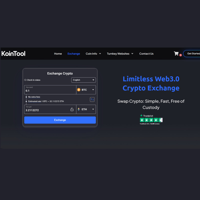 Easy Auto Swap Dex Crypto Exchange Website Turnkey Business Opportunity No KYC! gallery