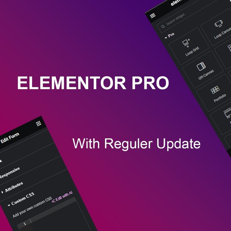 👉Elementor Pro page builder 🔥 wordpress plugin Letest version