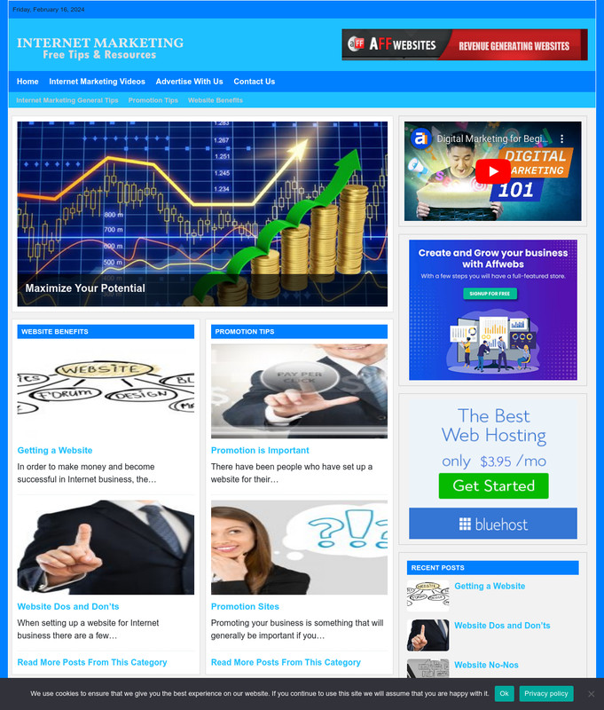 Internet Marketing Website Business For Sale: Ready-to-Launch Free Installation