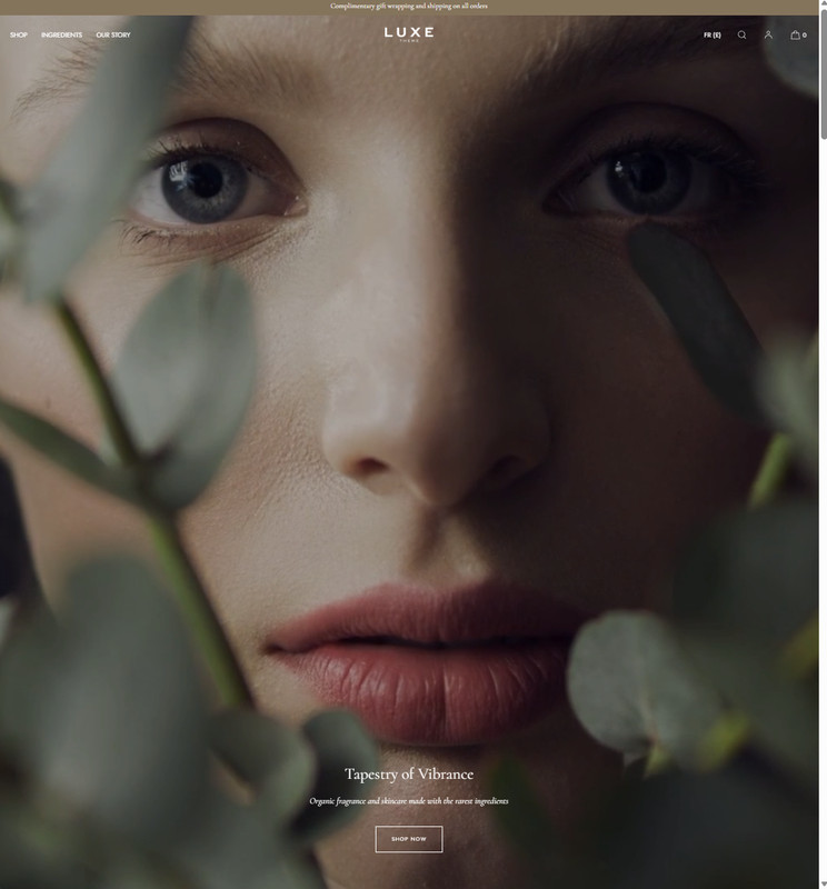 Custom Shopify Theme Design & Development | 50+ Themes, 1000+ Copies Sold gallery