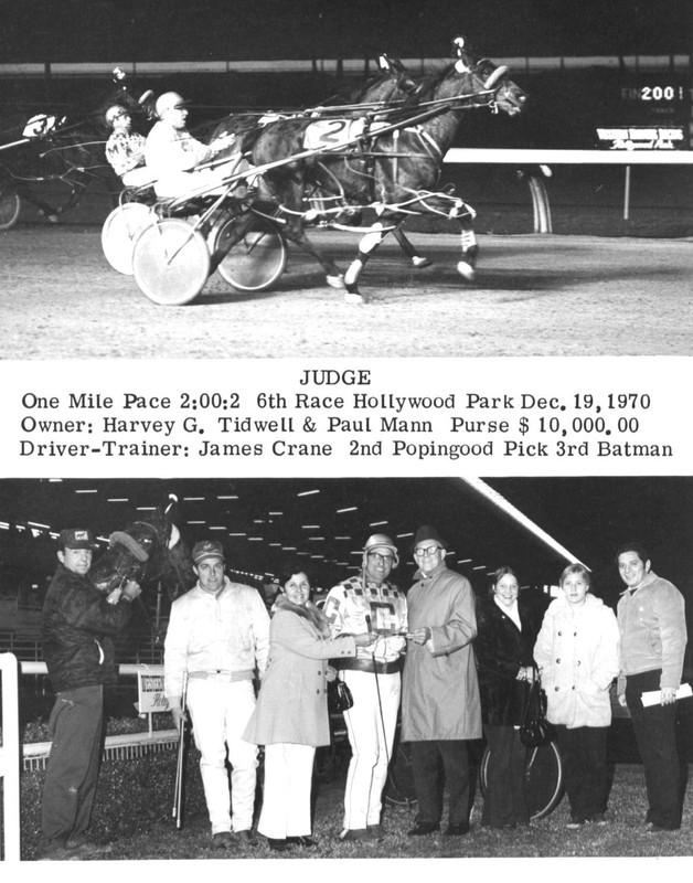 HarnessRacing.WS INTERNET DOMAIN HARNESS HORSE RACING STANDARDBRED HORSE HISTORY gallery
