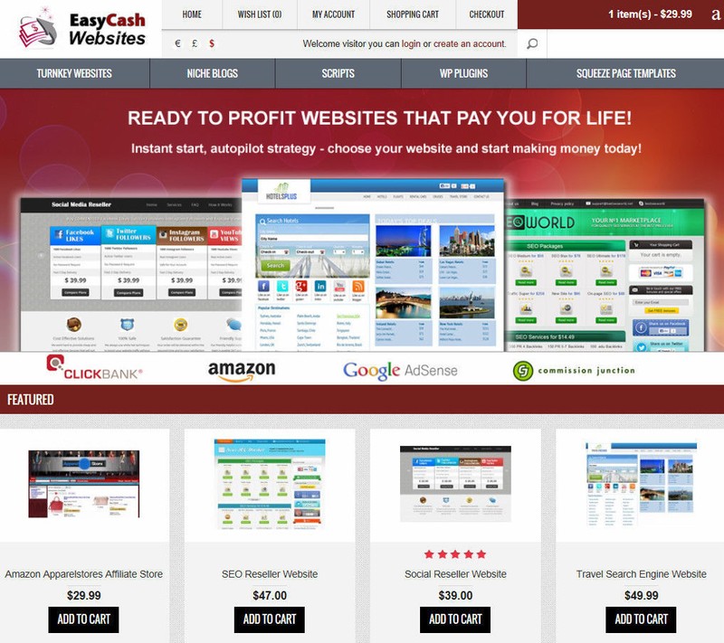 🥇 Turnkey Niche Website Selling Business gallery