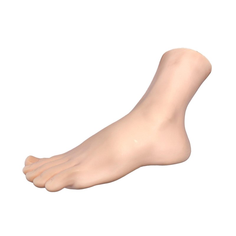 Female Foot Model Women’s Sock Display Stand Reusable Left Versatile Manikin for