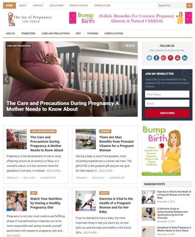 DFY PREGNANCY WORDPRESS THEME+FREE SETUP PRE-DESIGNED BANNERS AND ADS