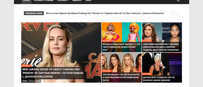 Established Profitable Celebrity News Online BUSINESS Turnkey Website