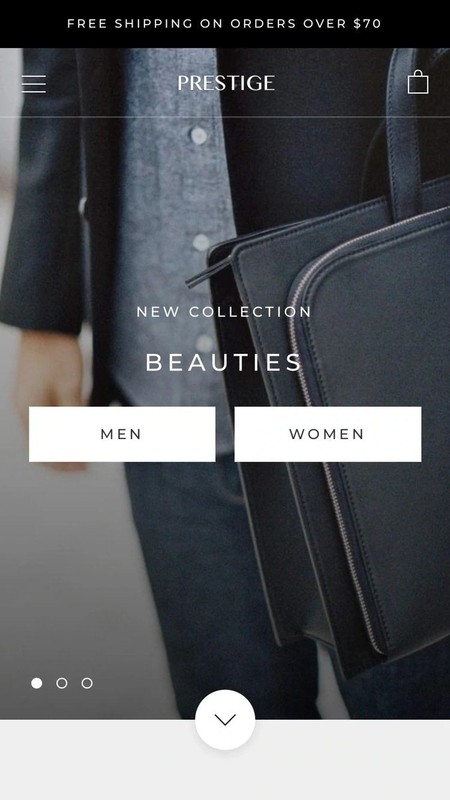 Shopify +100 Premium Themes. Prestige, Impulse, Expanse ... + Last Version gallery