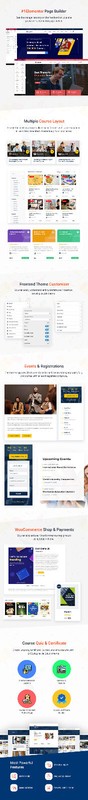 Edubin 9.4.3 - Education Wordpress Theme Websites GPL LearnPress LMS, Tutor LMS gallery