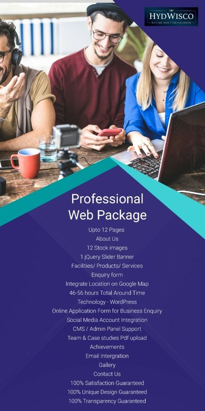 Professional Custom Website from HydWisco Digital!