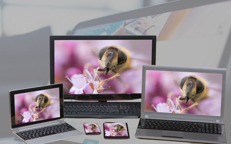 Portfolio, Company profile, Ecommerce Website gallery