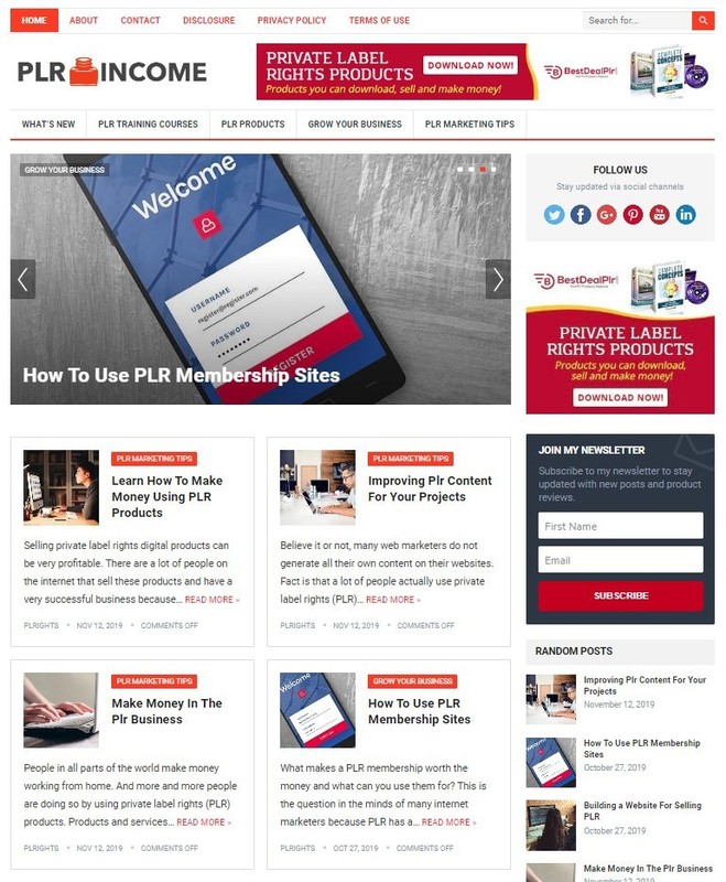 DFY PRIVATE LABEL RIGHTS WORDPRESS THEME+FREE SETUP PRE-DESIGNED BANNERS AND ADS