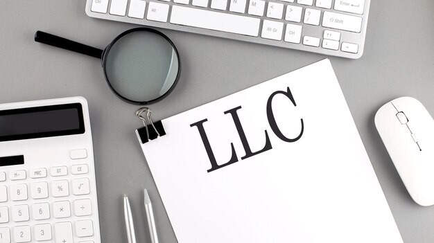 NEWBIZ LLC (Registered ONLINE business company)