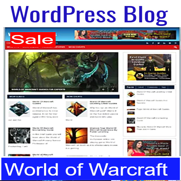 Niche Blog WordPress-World of WARcraft-Super Alpha Unlimited Hosting Biz Op Inc