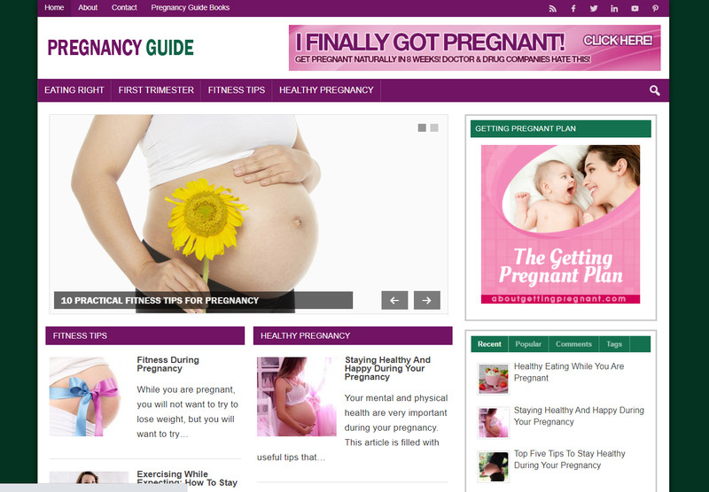 Monetize the Motherhood Market | Established Pregnancy Guide Affiliate Website