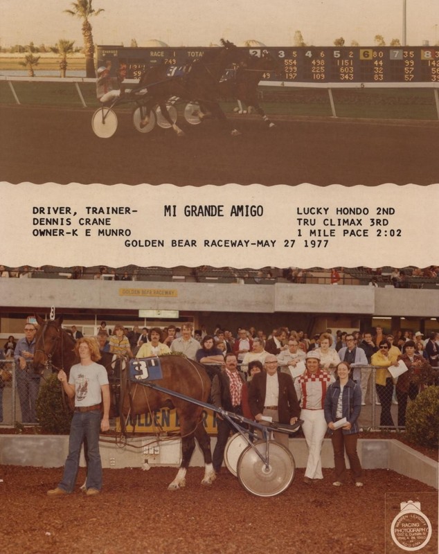 HarnessRacing.WS INTERNET DOMAIN HARNESS HORSE RACING STANDARDBRED HORSE HISTORY gallery