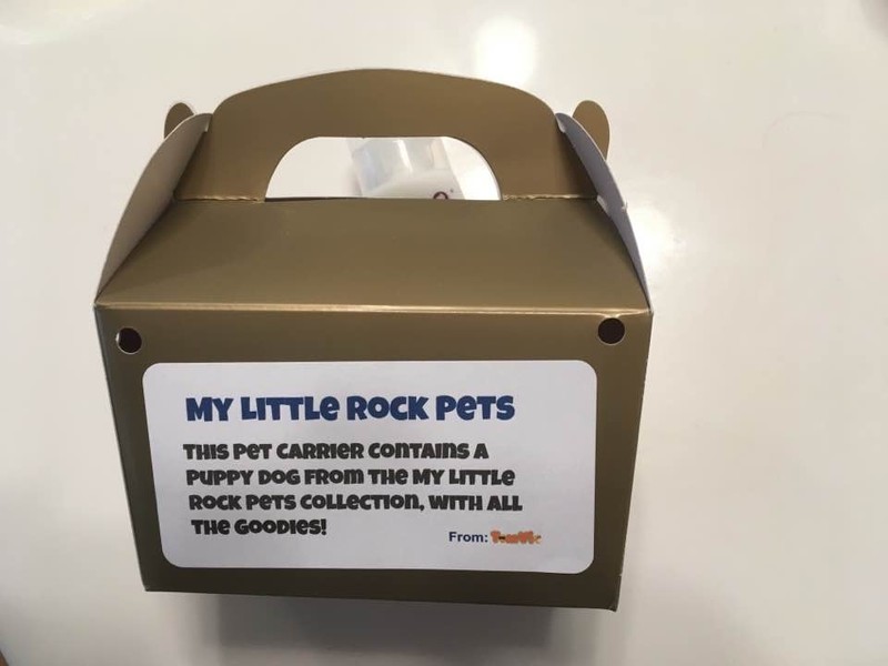 My Little Rock Pets - Business for sale! gallery