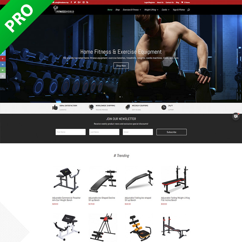 Professional Fitness Dropshipping Store | Turnkey Dropship Business Website