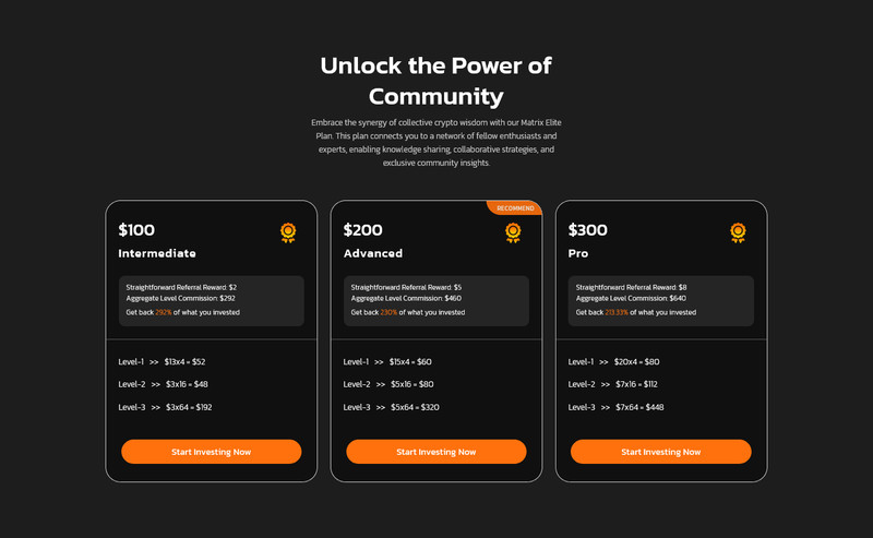 Investra - HYIP Investment Platform | Binary, ICO, Staking, Matrix Referral gallery