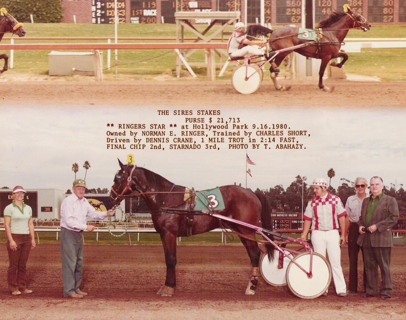 HarnessRacing.WS INTERNET DOMAIN HARNESS HORSE RACING STANDARDBRED HORSE HISTORY gallery