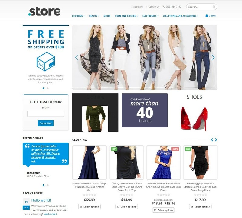 Online Store Affiliate/Dropship Website + eCommerce + Amazon and eBay