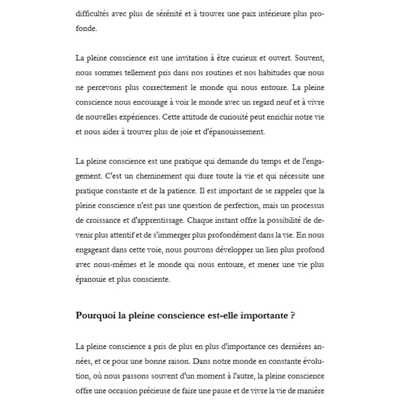 Les 9 chemins de la pleine conscience 32k mots e-book PLR exclusif gallery