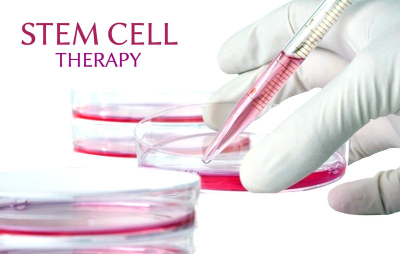 Veterinary Stem Cell Therapy Premium Domains WWW.STEMVET.COM & WWW.STEMVET.NET