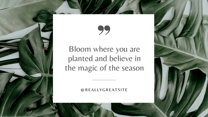 WP Theme-Blog website -Plant-based Products Presentation -Canva Template gallery