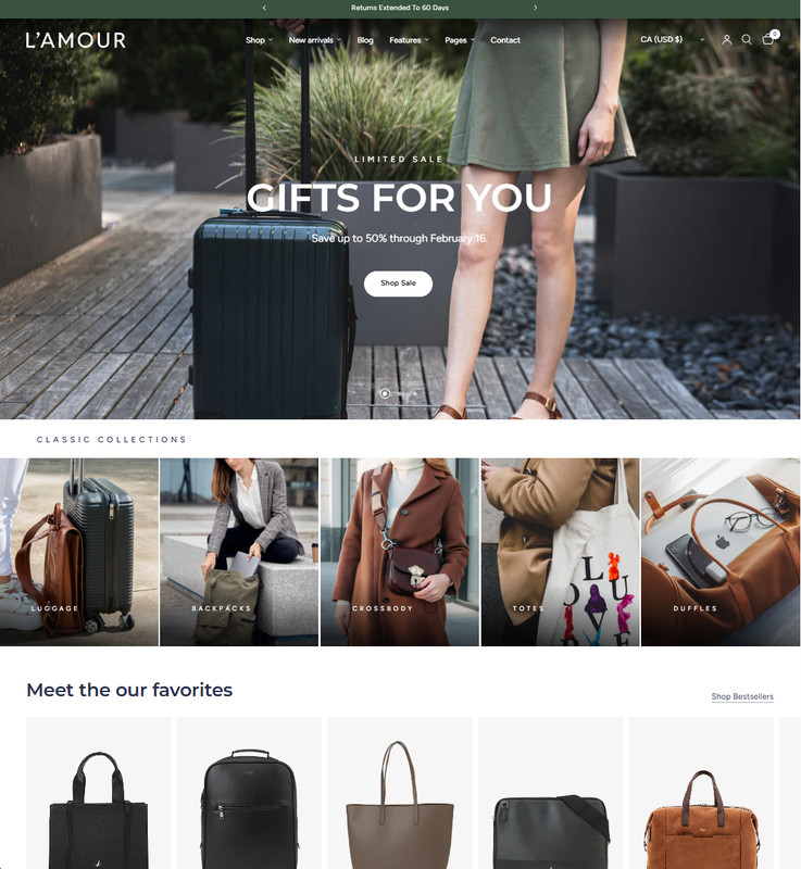 Custom Shopify Theme Design & Development | 50+ Themes, 1000+ Copies Sold gallery