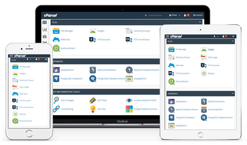 Hosting for Fitness Website - 💪Unlimited SSD SSL, Fast Speed | Just $14.99/Year gallery