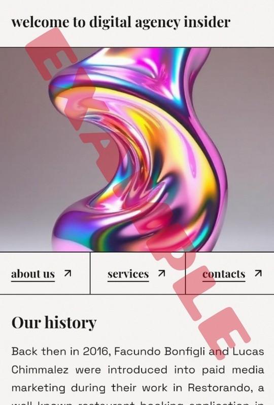 CUSTOM WEBSITES - ANY BUDGET | BEST OFFER ACCEPTED (READ DESCRIPTION!) gallery