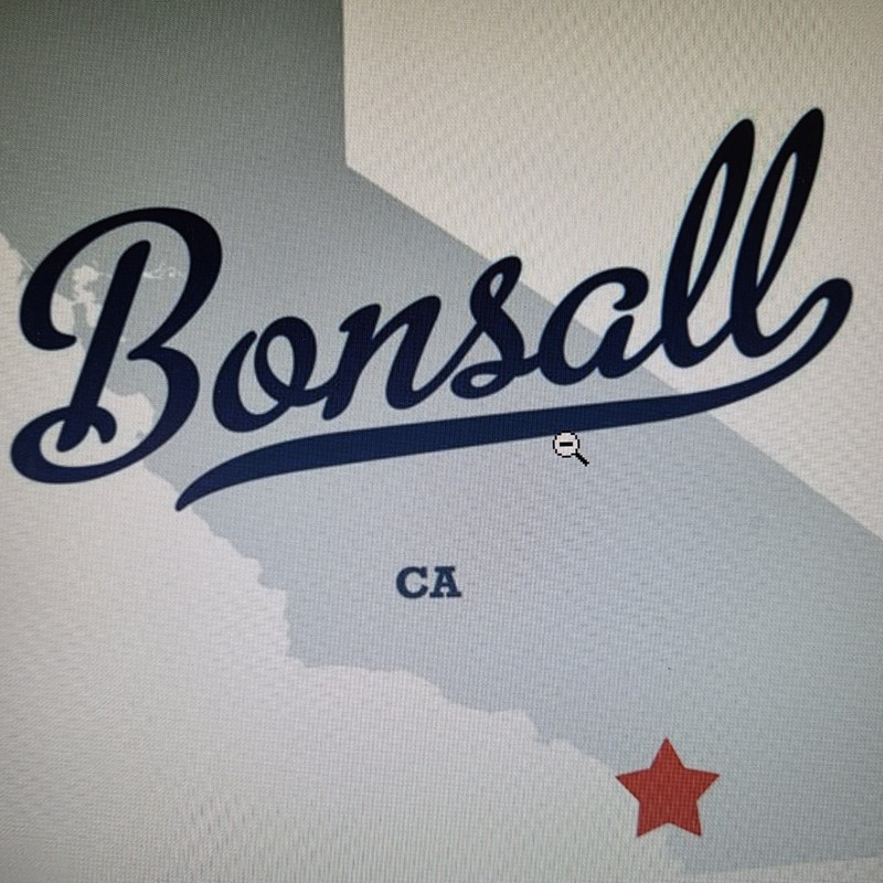Toll Free 800 Vanity Number 855- BONSALL ideal for real estate California gallery